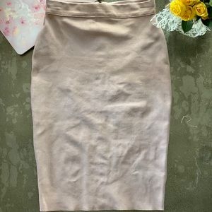 Mauve Pencil Skirt